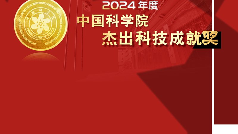 网络安全风险评估：优缺点对比解析